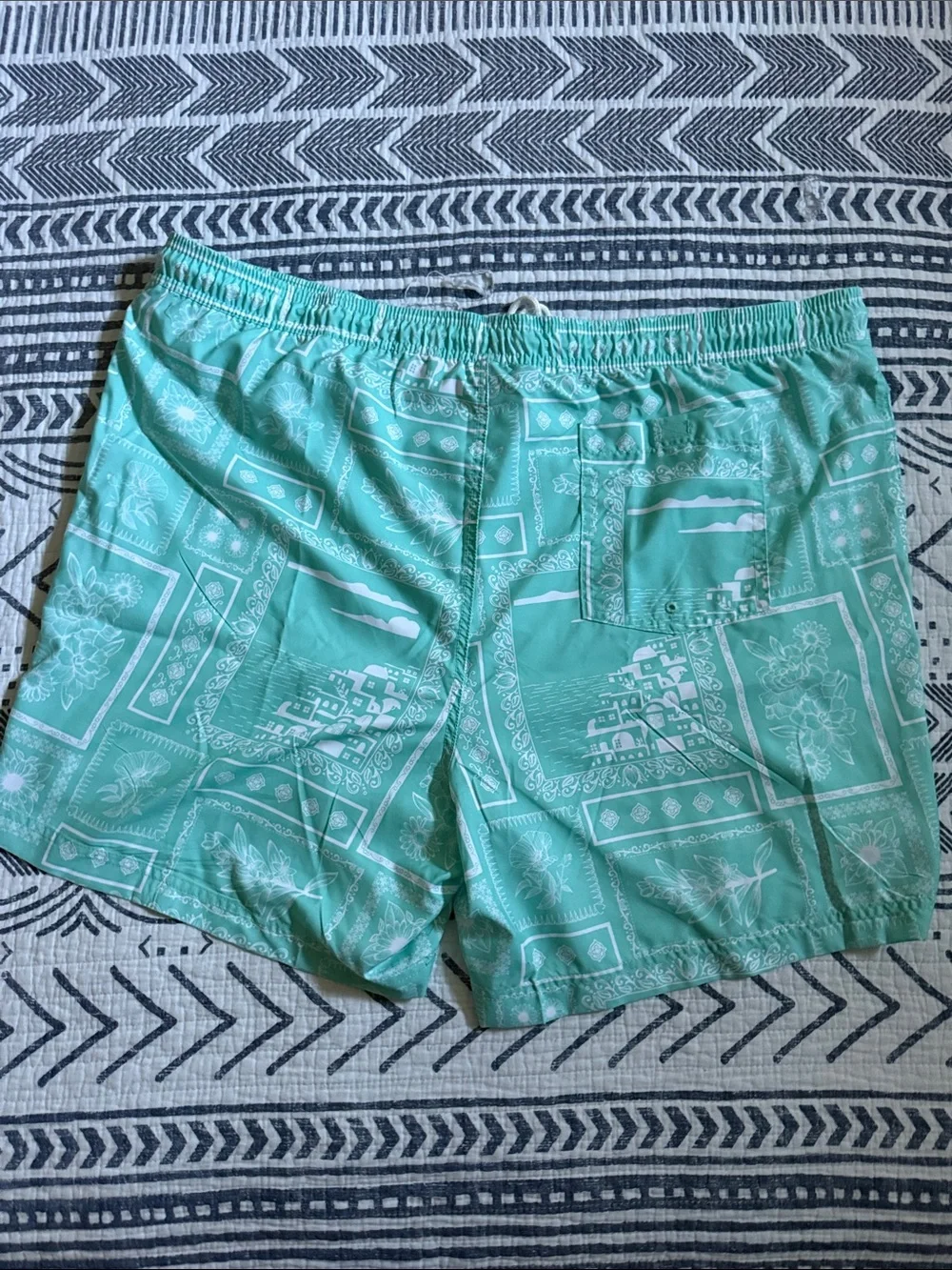 Aqua Patterned Drawstring Swim Shorts